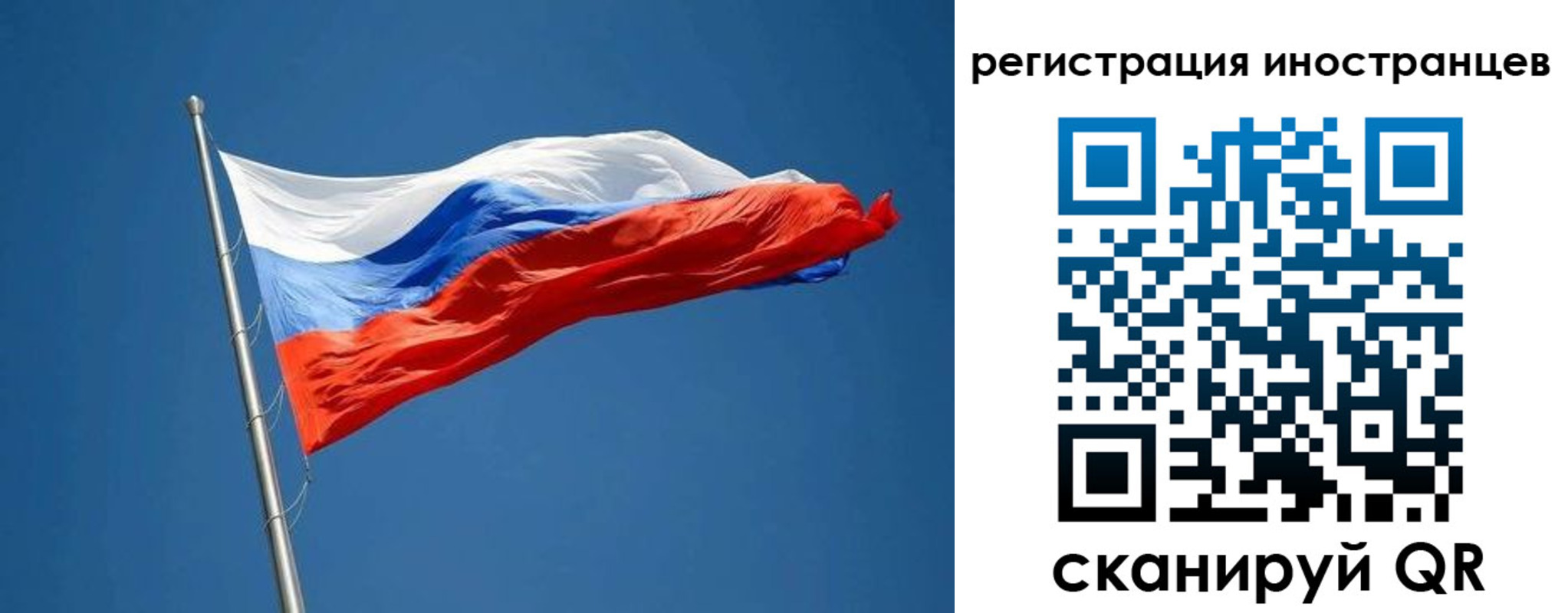 прописка в Цимлянске